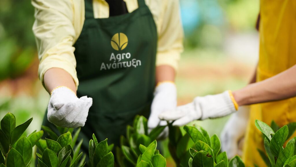 agroanaptixi agriculture branding desktop