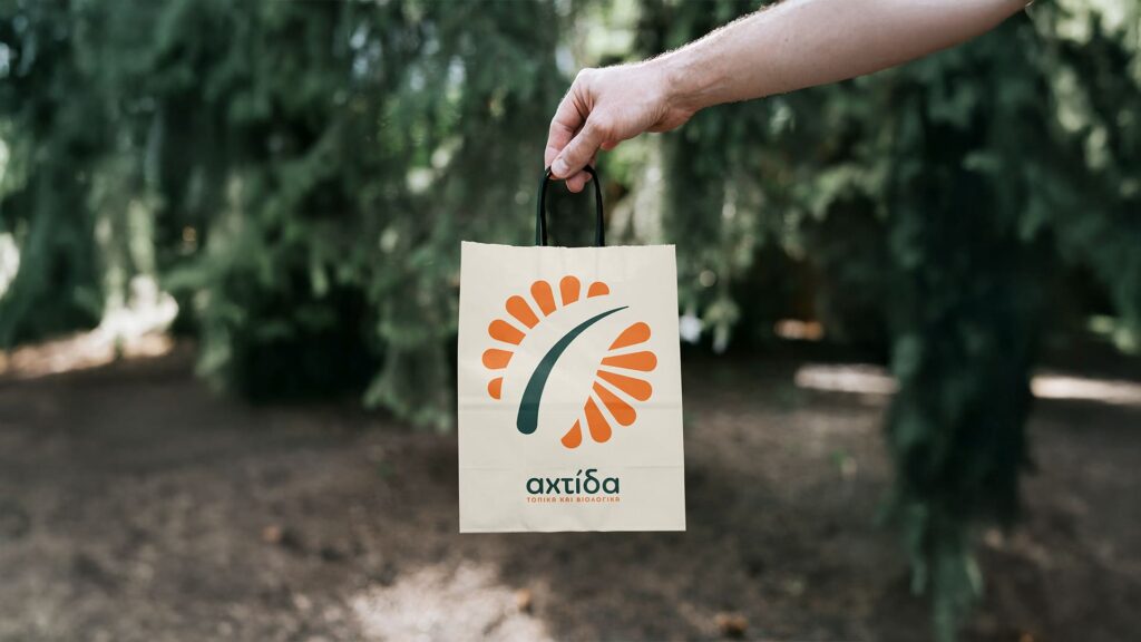axtida branding visual identity desktop