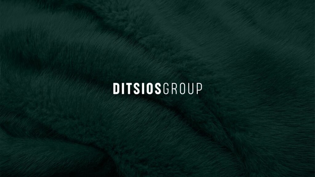 ditsios branding website desktop