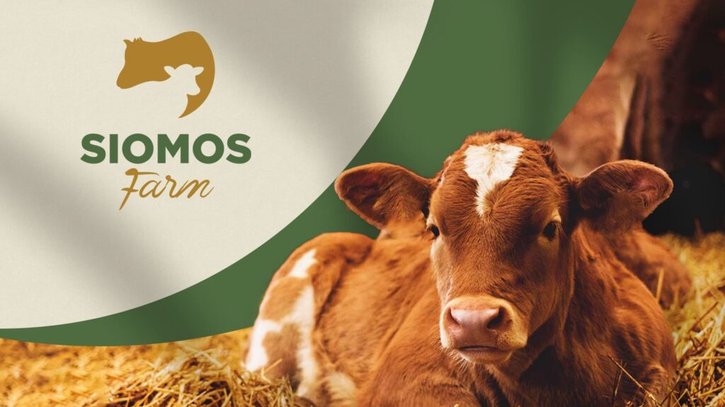 siomos farm branding desktop