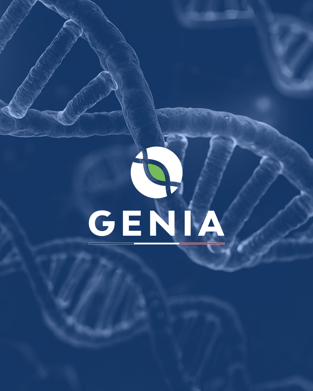 genia brand design cover