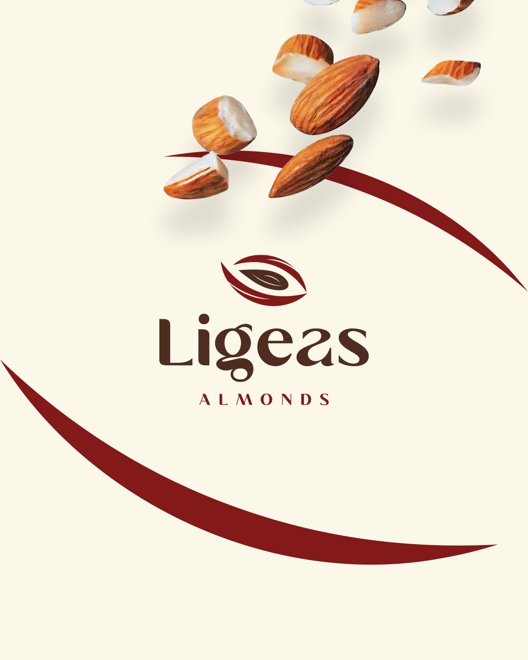 ligeas almonds brand design cover
